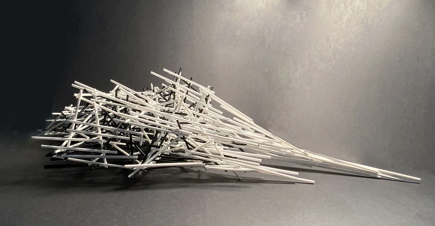Architecture — NPC student work