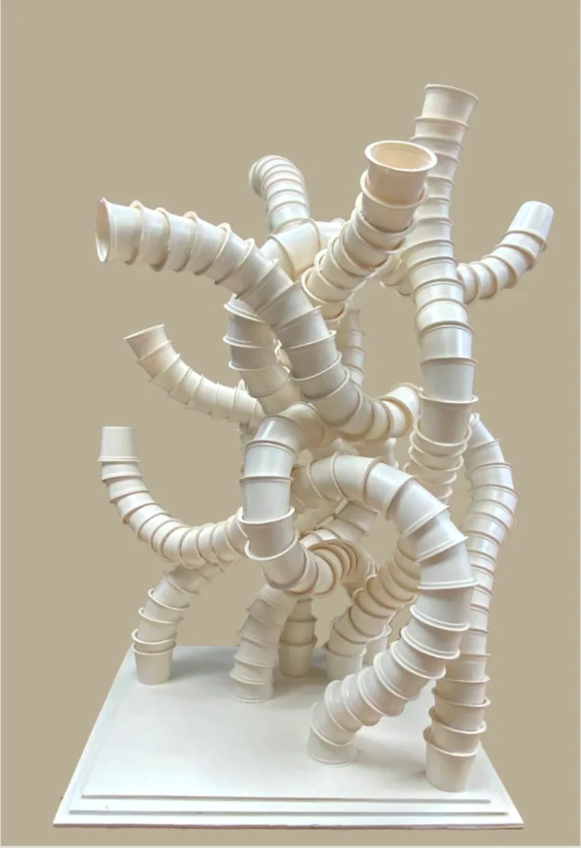 Architecture — NPC student work